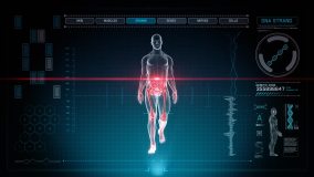 Futuristic Interface Display of Full Body Scan with Human Anatomy of Muscles, Bones and Organs WALKING on Holographic Touch Screen on Blue Background 4K Ultra High Definition for Medical Application